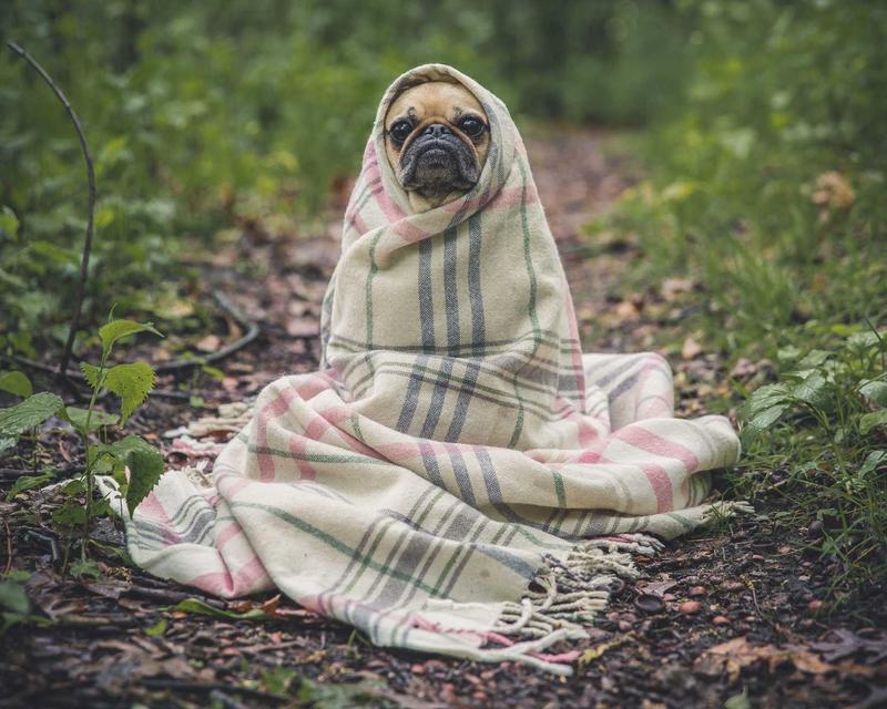 Start To Play moment